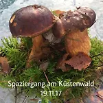 Mit Terrasse - Insel Usedom 度假居 特拉森海德