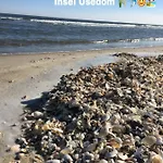 Mit Terrasse - Insel Usedom *