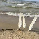 度假居 Mit Terrasse - Insel Usedom