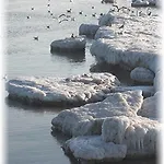 Mit Terrasse - Insel Usedom *