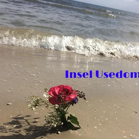 Mit Terrasse - Insel Usedom Hébergement de vacances