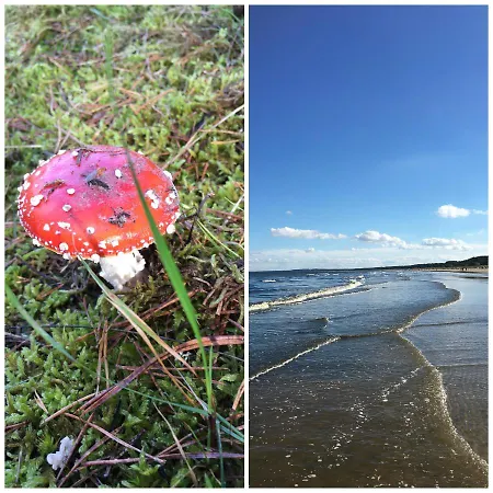 Hébergement de vacances Mit Terrasse - Insel Usedom Trassenheide