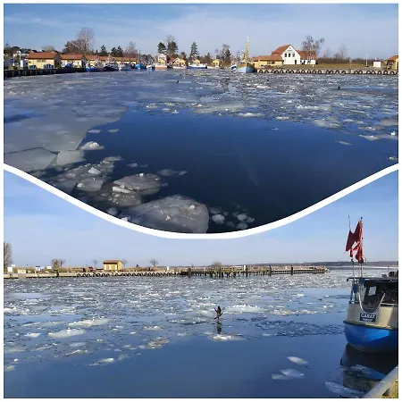 Mit Terrasse - Insel Usedom Casa vacanze Trassenheide