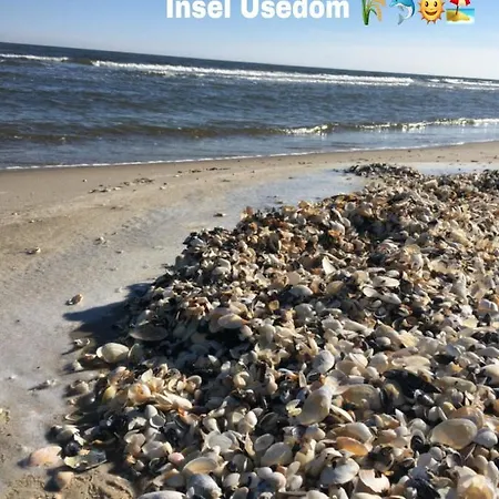 Mit Terrasse - Insel Usedom *