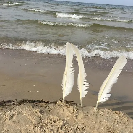 別荘 Mit Terrasse - Insel Usedom