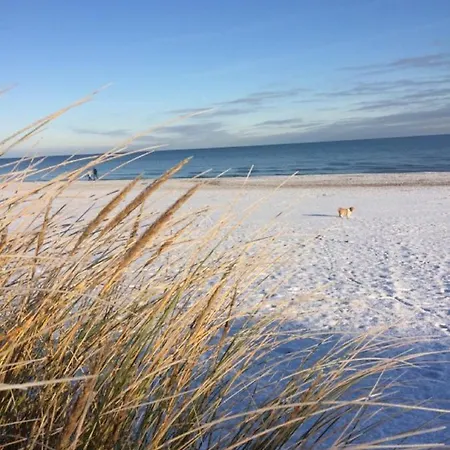 Mit Terrasse - Insel Usedom