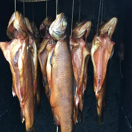 Mit Terrasse - Insel Usedom 펜션 *