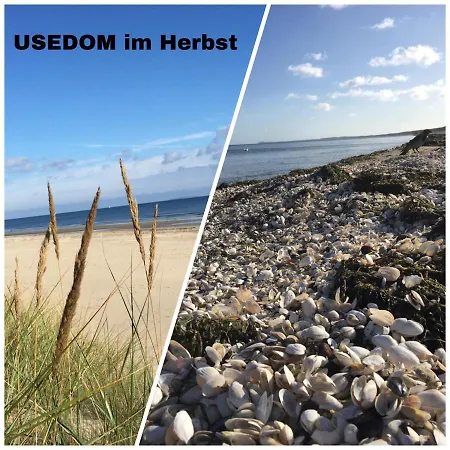 Mit Terrasse - Insel Usedom Trassenheide