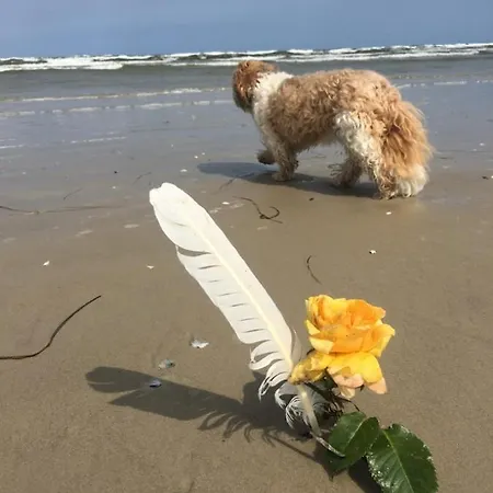 펜션 Mit Terrasse - Insel Usedom 트라센하이드