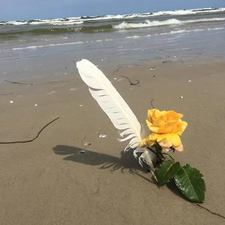 Mit Terrasse - Insel Usedom Casa vacanze Trassenheide