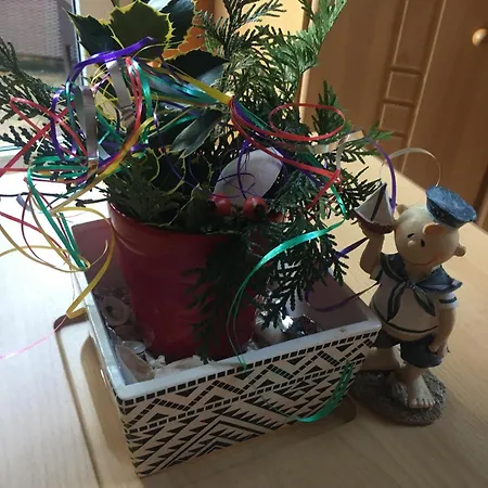 Mit Terrasse - Insel Usedom Casa vacanze