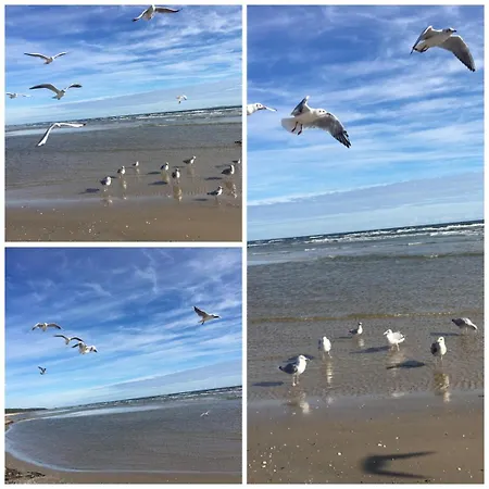 Hébergement de vacances Mit Terrasse - Insel Usedom