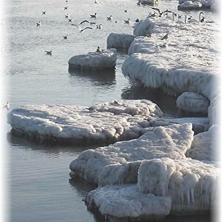 Mit Terrasse - Insel Usedom *