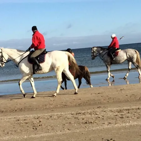 Mit Terrasse - Insel Usedom Trassenheide