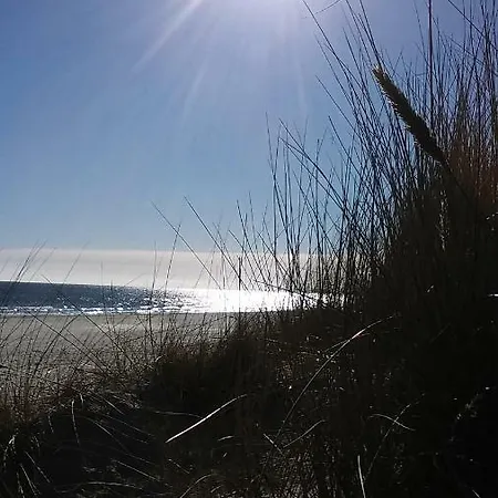 Hébergement de vacances Mit Terrasse - Insel Usedom *