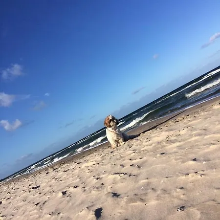 Mit Terrasse - Insel Usedom *