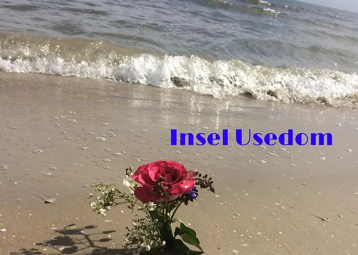 Mit Terrasse - Insel Usedom Сasa de vacaciones