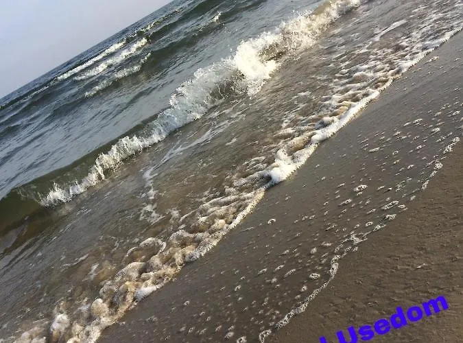 Prázdninový dům Mit Terrasse - Insel Usedom *