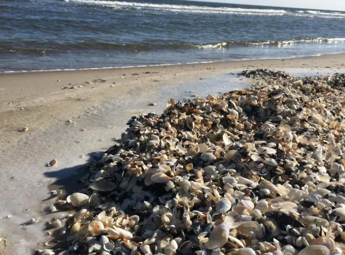 Mit Terrasse - Insel Usedom *
