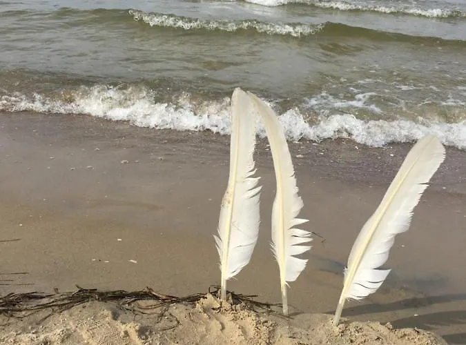 Prázdninový dům Mit Terrasse - Insel Usedom