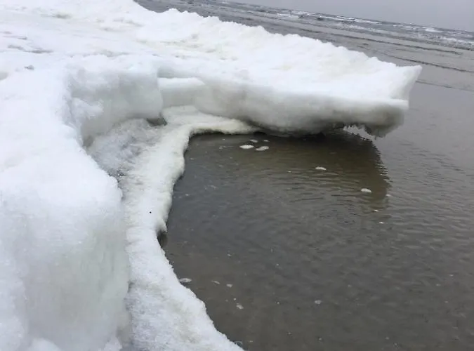 Prázdninový dům Mit Terrasse - Insel Usedom Trassenheide