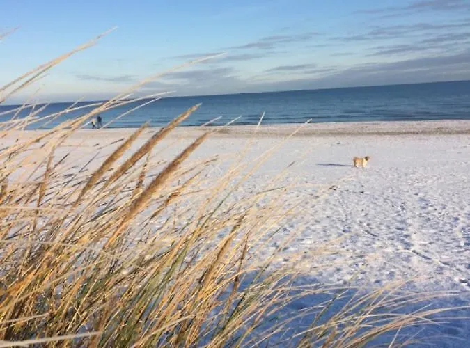Mit Terrasse - Insel Usedom