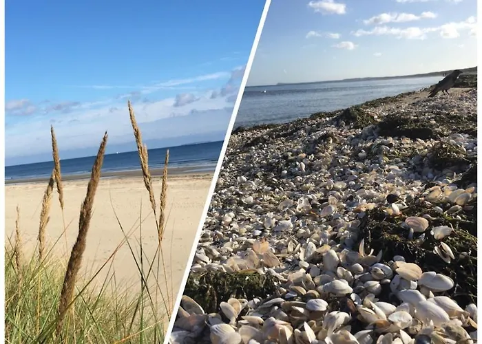 Mit Terrasse - Insel Usedom Trassenheide