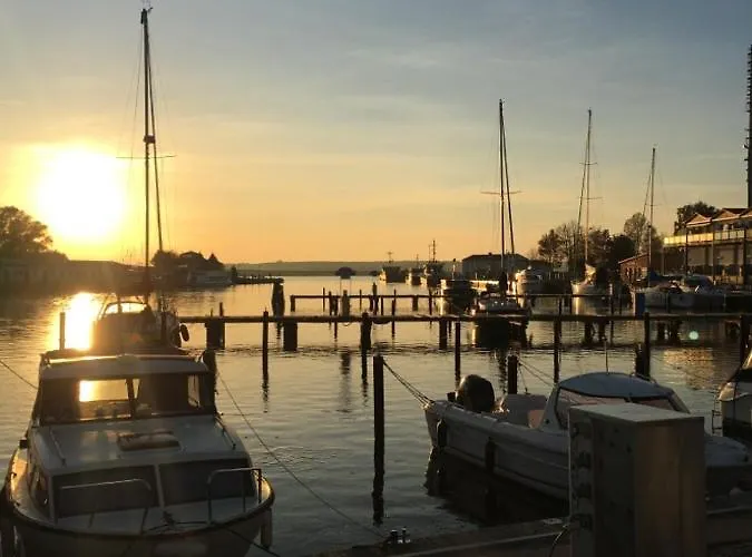 Mit Terrasse - Insel Usedom Ferienhaus
