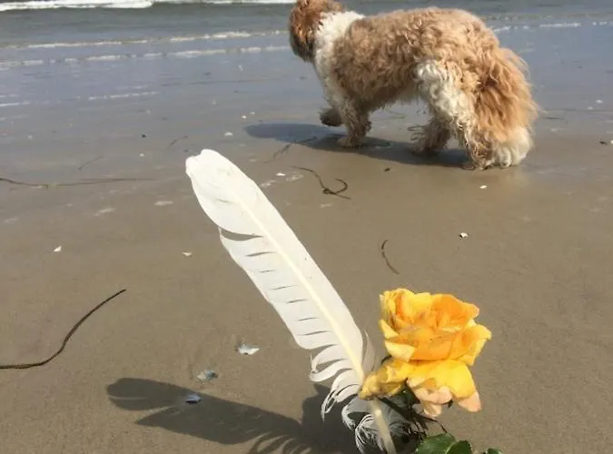 Prázdninový dům Mit Terrasse - Insel Usedom Trassenheide