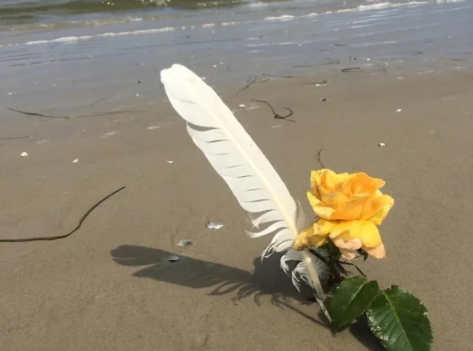 Mit Terrasse - Insel Usedom Prázdninový dům Trassenheide