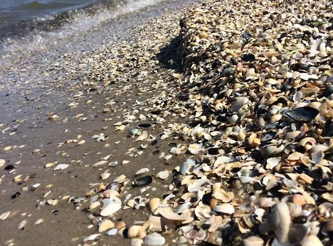 Prázdninový dům Mit Terrasse - Insel Usedom *