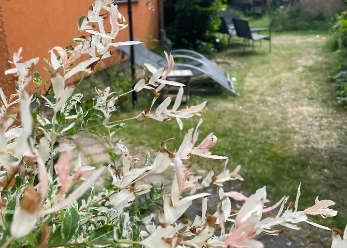 Сasa de vacaciones Mit Terrasse - Insel Usedom Trassenheide