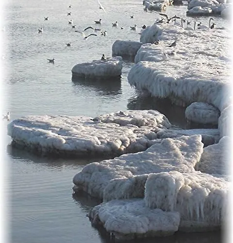 Mit Terrasse - Insel Usedom *