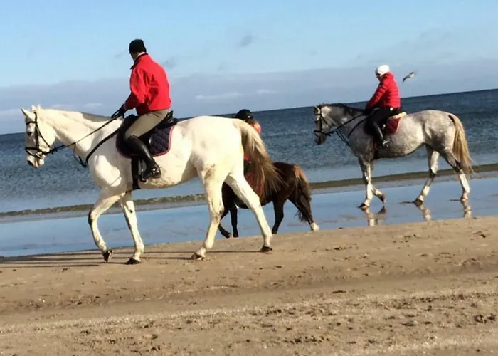 Mit Terrasse - Insel Usedom Trassenheide
