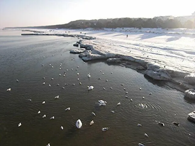 Mit Terrasse - Insel Usedom Prázdninový dům
