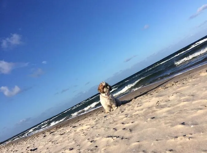 Mit Terrasse - Insel Usedom *